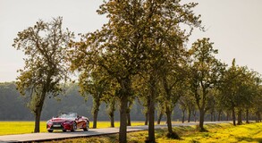 Lexus LC Convertible 2020 - local